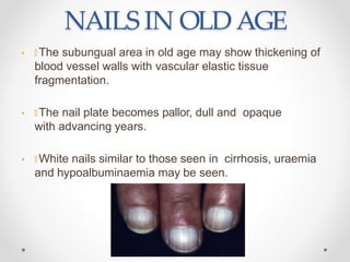 NAILS IN OLDAGE
• 🞭 The subungual area in old age may show thickening of
blood vessel walls with vascular elastic tissue
f...