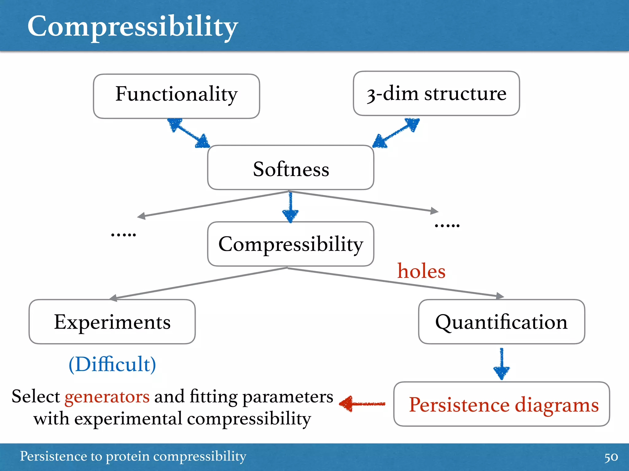 Compressibility
Persistence to protein compressibility 50
3-dim structureFunctionality
Softness
Compressibility
Experiments Quantiﬁcation
Persistence diagrams
(Diﬃcult)
…..…..
Select generators and ﬁtting parameters
with experimental compressibility
holes
 