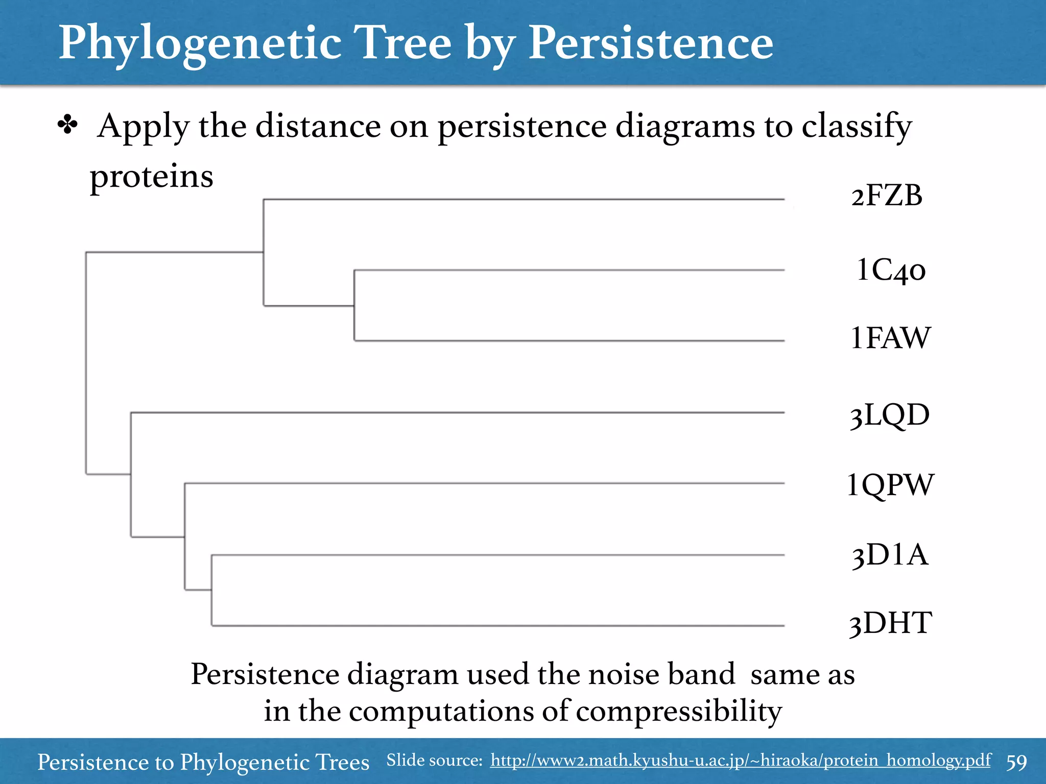 Phylogenetic Tree by Persistence
Persistence to Phylogenetic Trees 59
✤ Apply the distance on persistence diagrams to classify
proteins
Persistence diagram used the noise band same as
in the computations of compressibility
3DHT
3D1A
1QPW
3LQD
1FAW
1C40
2FZB
Slide source: http://www2.math.kyushu-u.ac.jp/~hiraoka/protein_homology.pdf
 