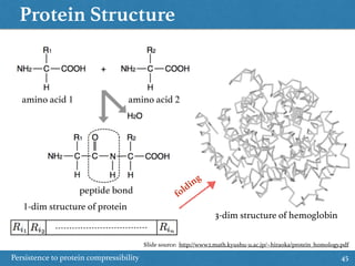 Protein Structure
Persistence to protein compressibility 45
amino acid 1 amino acid 2
3-dim structure of hemoglobin
1-dim structure of protein
folding
peptide bond
Slide source: http://www2.math.kyushu-u.ac.jp/~hiraoka/protein_homology.pdf
 
