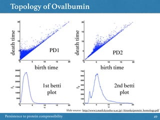 Topology of Ovalbumin
Persistence to protein compressibility 49
birth time
deathtime
birth time
deathtime
1st betti
plot
2nd betti
plot
PD1 PD2
Slide source: http://www2.math.kyushu-u.ac.jp/~hiraoka/protein_homology.pdf
 