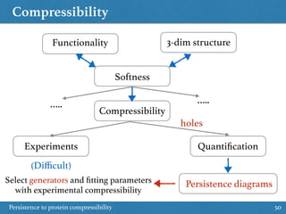 Compressibility
Persistence to protein compressibility 50
3-dim structureFunctionality
Softness
Compressibility
Experiments Quantiﬁcation
Persistence diagrams
(Diﬃcult)
…..…..
Select generators and ﬁtting parameters
with experimental compressibility
holes
 