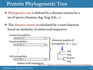 Protein Phylogenetic Tree
Persistence to Phylogenetic Trees 55
✤ Phylogenetic tree is deﬁned by a distance matrix for a
set of species (human, dog, frog, ﬁsh,…)
✤ The distance matrix is calculated by a score function
based on similarity of amino acid sequences
amino acid sequences
ﬁsh hemoglobin
frog hemoglobin
human hemoglobin
distance matrix of
hemoglobin
ﬁsh
frog
human
dog
Slide source: http://www2.math.kyushu-u.ac.jp/~hiraoka/protein_homology.pdf
 