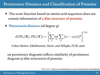 Persistence Distance and Classiﬁcation of Proteins
Persistence to Phylogenetic Trees 56
✤ The score function based on amnio acid sequences does not
contain information of 3-dim structure of proteins
✤ Wasserstein distance (of degree p)
Cohen-Steiner, Edelsbrunner, Harer, and Mileyko, FCM, 2010
on persistence diagrams reﬂects similarity of persistence
diagram (3-dim structures) of proteins
Slide source: http://www2.math.kyushu-u.ac.jp/~hiraoka/protein_homology.pdf
 