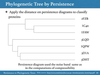 Phylogenetic Tree by Persistence
Persistence to Phylogenetic Trees 59
✤ Apply the distance on persistence diagrams to classify
proteins
Persistence diagram used the noise band same as
in the computations of compressibility
3DHT
3D1A
1QPW
3LQD
1FAW
1C40
2FZB
Slide source: http://www2.math.kyushu-u.ac.jp/~hiraoka/protein_homology.pdf
 