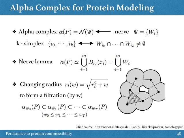 کمپلکس آلفا برای مدل سازی پروتئین پایداری در برابر تراکم پذیری پروتئین 48 ✤ ✤ ✤ آلفا کمپلکس عصب k - سیمپلکس عصب l...