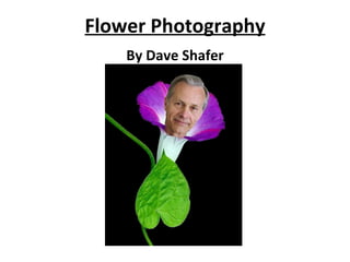 Flower Photography By Dave Shafer 