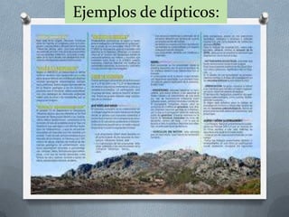 Ejemplos de dípticos:
 