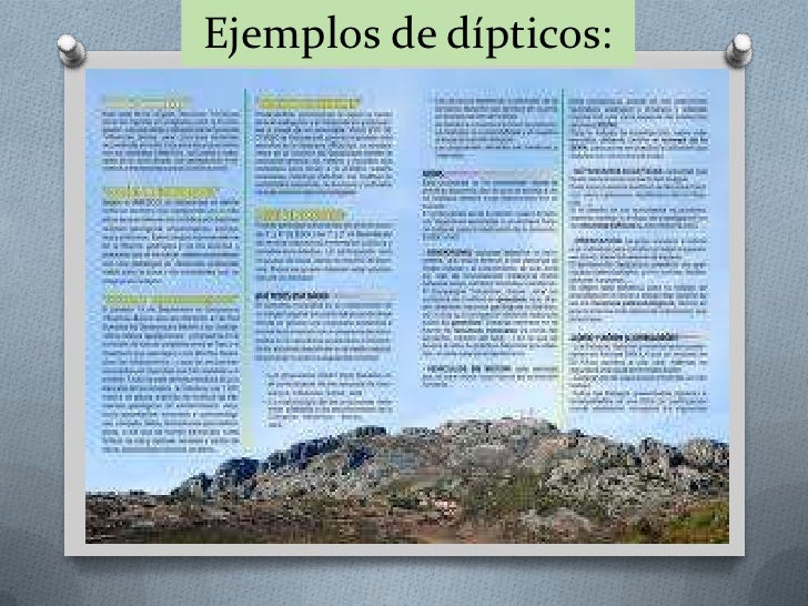brochures on word