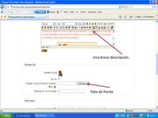 Una breve descripción Foto de frente 