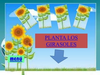 PLANTA LOS
GIRASOLES
MENÚ
 