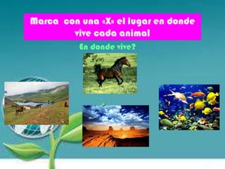 Marca con una «X» el lugar en donde
vive cada animal
En donde vive?
 