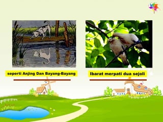 seperti Anjing Dan Bayang-Bayang   Ibarat merpati dua sejoli
 