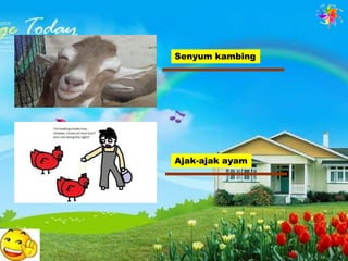 Senyum kambing




Ajak-ajak ayam
 