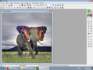 Tutorial photofiltre marefante