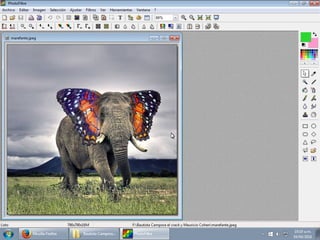 Tutorial photofiltre marefante