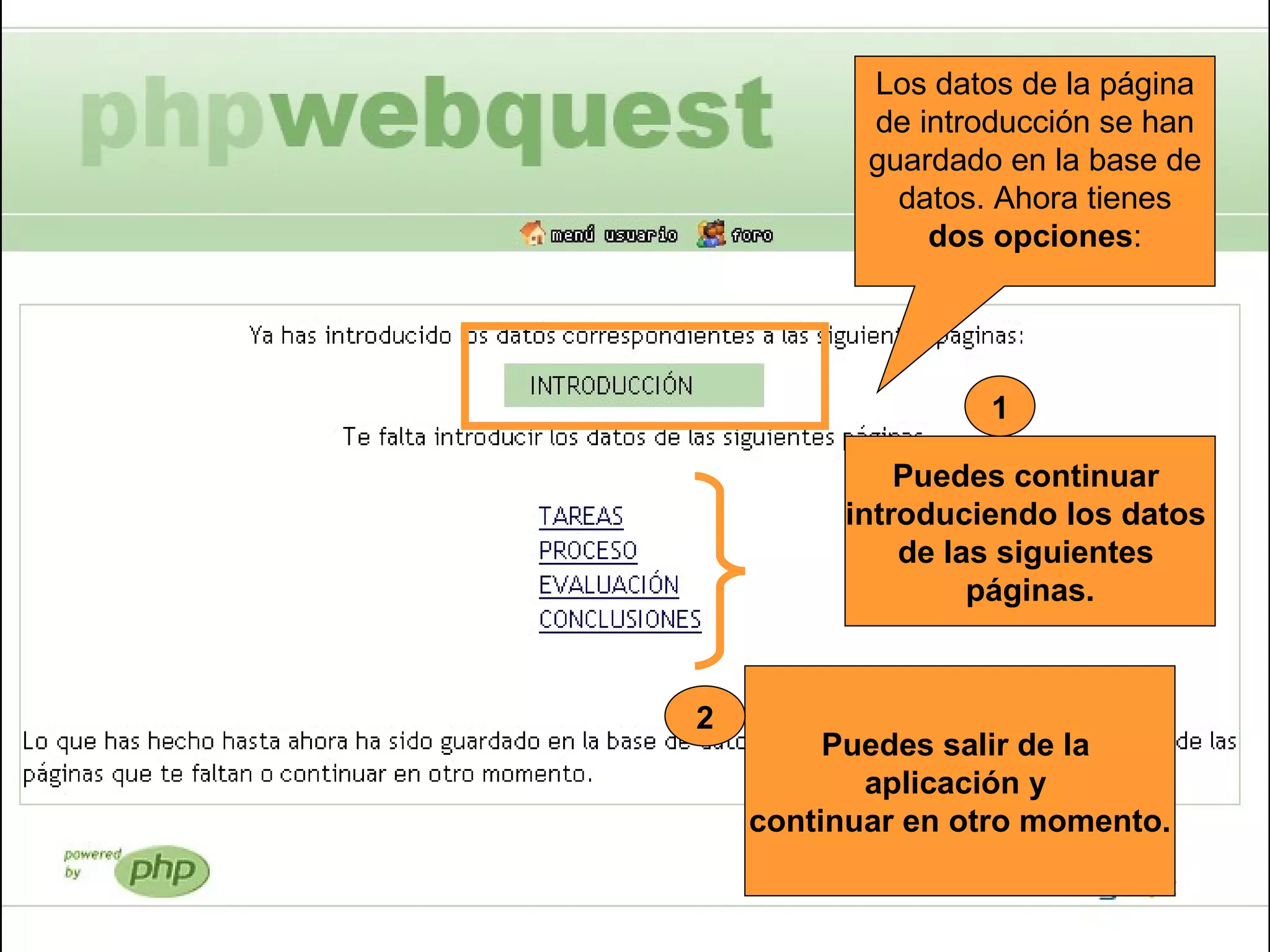 Los datos de la página de introducción se han guardado en la base de datos. Ahora tienes  dos opciones : Puedes continuar  introduciendo los datos  de las siguientes  páginas. 1 Puedes salir de la  aplicación y  continuar en otro momento. 2 