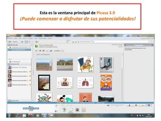 Esta es la ventana principal de Picasa 3.9
¡Puede comenzar a disfrutar de sus potencialidades!
 