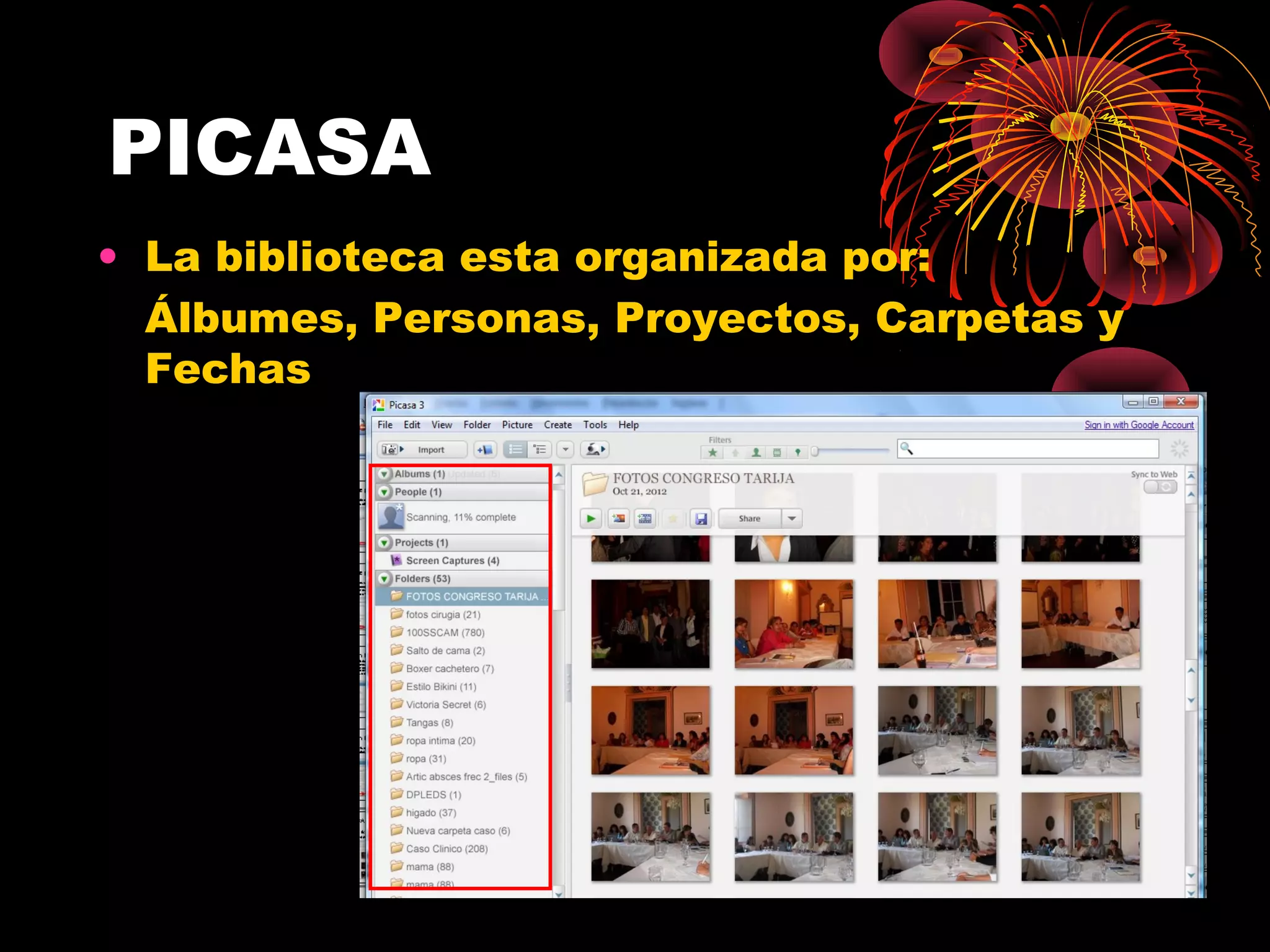 PICASA
• La biblioteca esta organizada por:
  Álbumes, Personas, Proyectos, Carpetas y
  Fechas
 