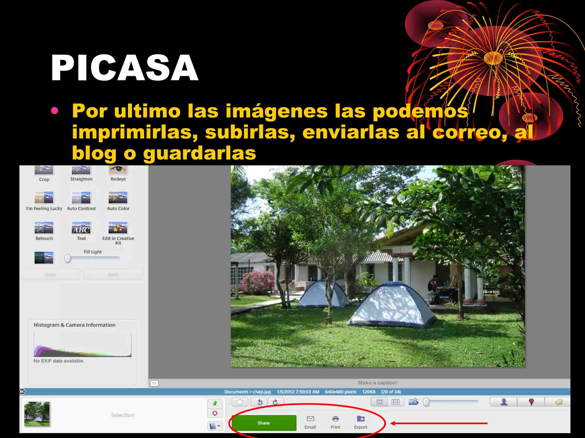 PICASA
• Por ultimo las imágenes las podemos
  imprimirlas, subirlas, enviarlas al correo, al
  blog o guardarlas
 