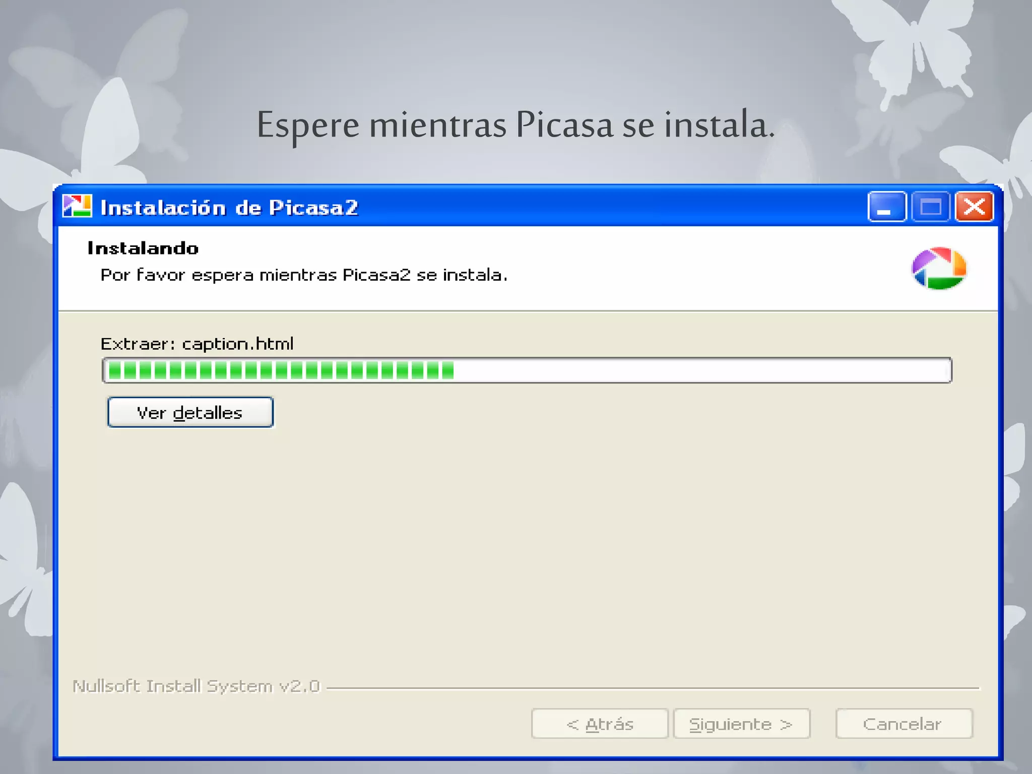 Espere mientras Picasa se instala. 
 