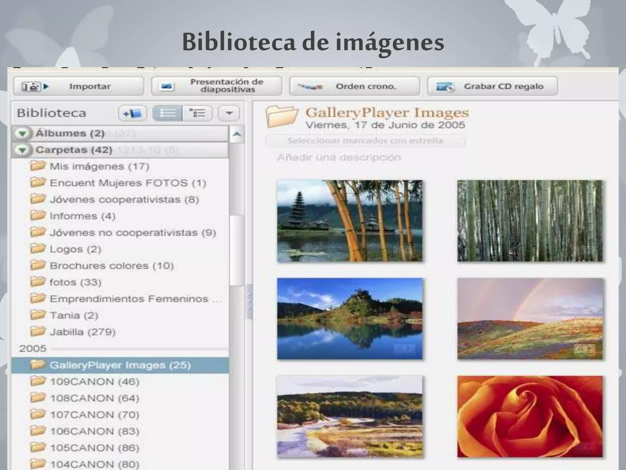 Biblioteca de imágenes 
 