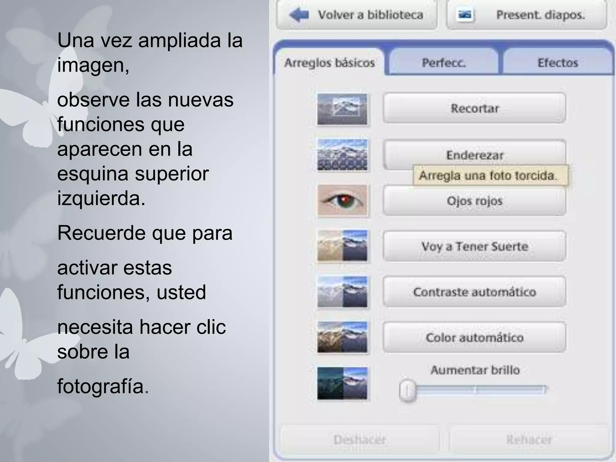 Una vez ampliada la 
imagen, 
observe las nuevas 
funciones que 
aparecen en la 
esquina superior 
izquierda. 
Recuerde que para 
activar estas 
funciones, usted 
necesita hacer clic 
sobre la 
fotografía. 
 