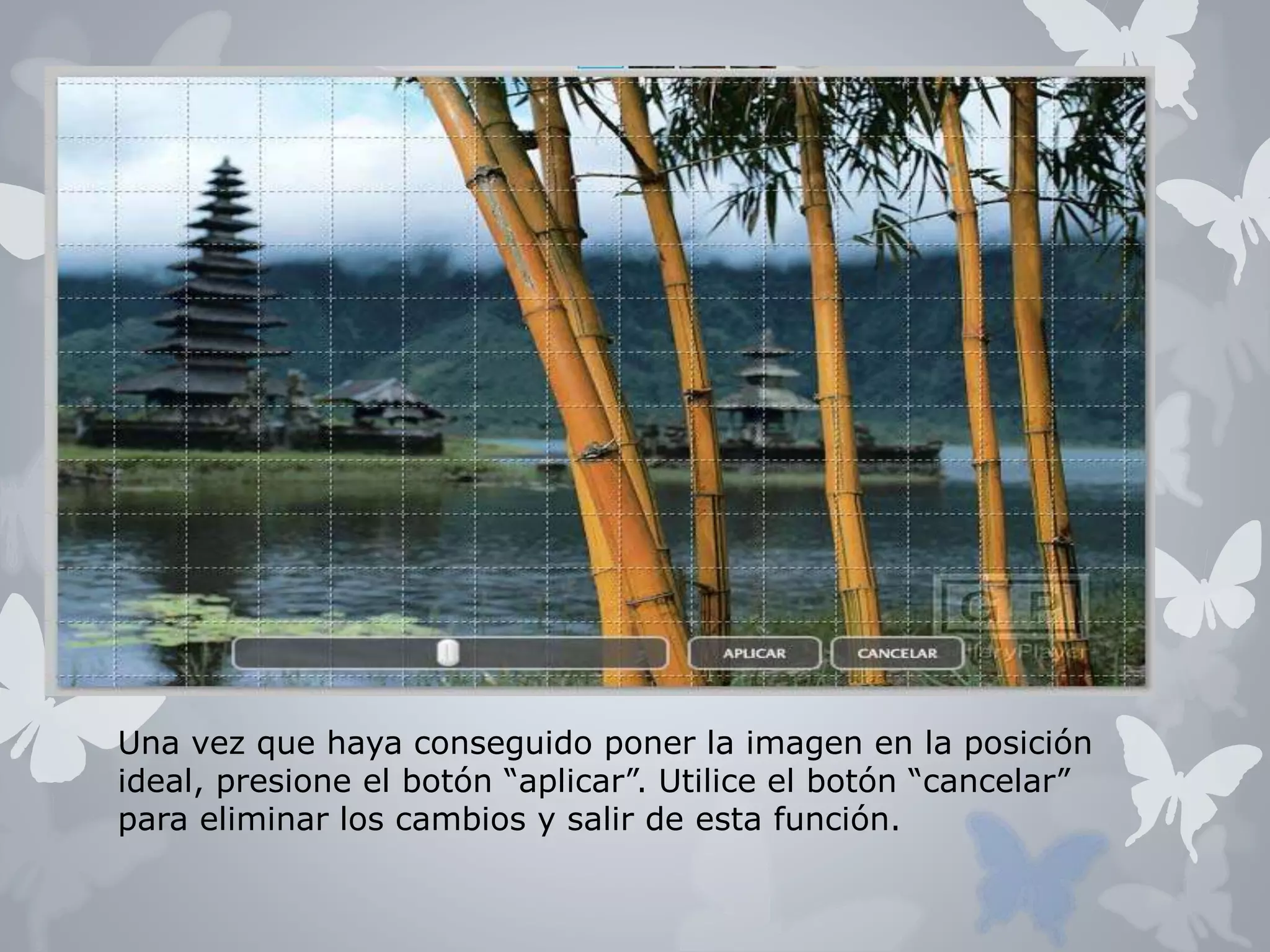 Una vez que haya conseguido poner la imagen en la posición 
ideal, presione el botón “aplicar”. Utilice el botón “cancelar” 
para eliminar los cambios y salir de esta función. 
 