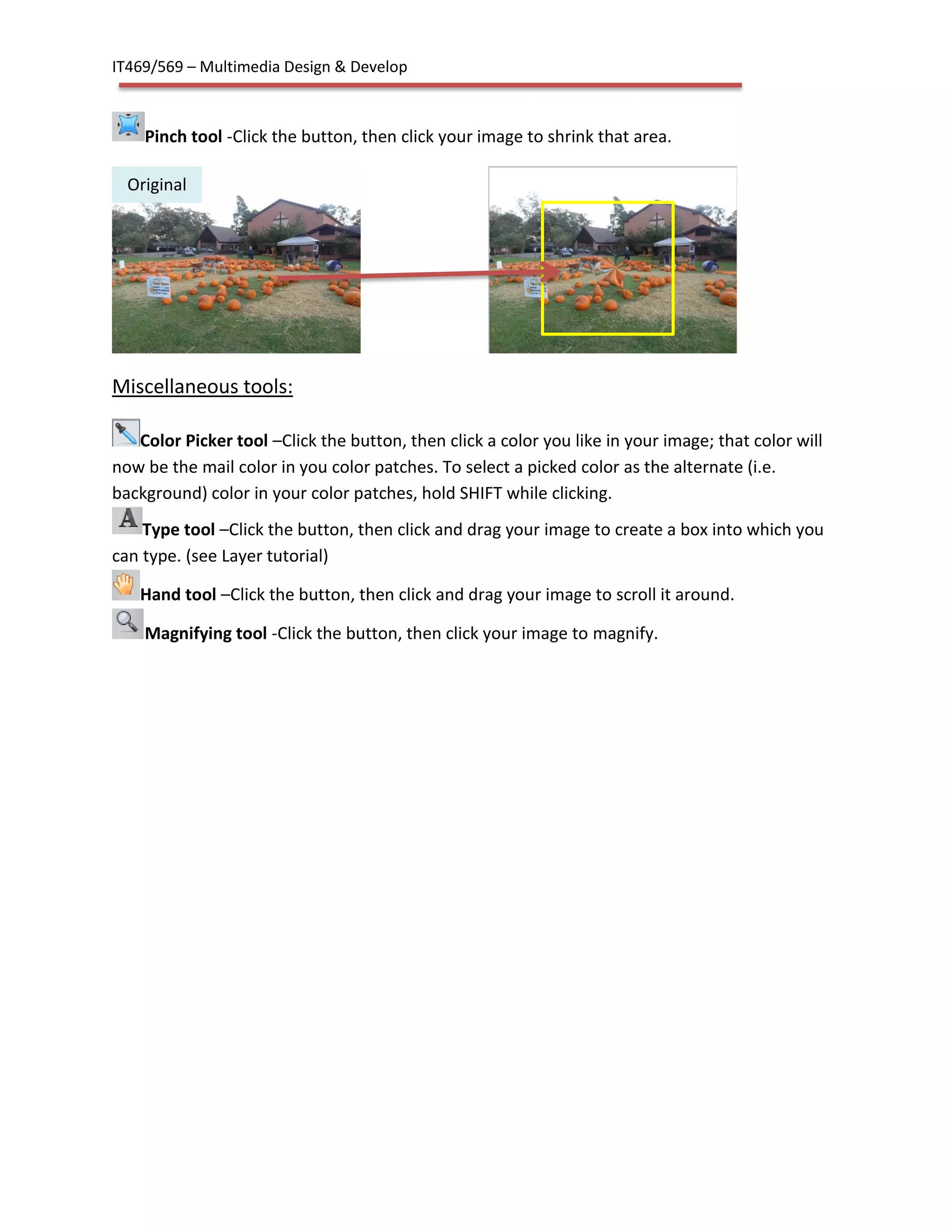 IT469/569 – Multimedia Design & Develop
Pinch tool -Click the button, then click your image to shrink that area.
Miscellaneous tools:
Color Picker tool –Click the button, then click a color you like in your image; that color will
now be the mail color in you color patches. To select a picked color as the alternate (i.e.
background) color in your color patches, hold SHIFT while clicking.
Type tool –Click the button, then click and drag your image to create a box into which you
can type. (see Layer tutorial)
Hand tool –Click the button, then click and drag your image to scroll it around.
Magnifying tool -Click the button, then click your image to magnify.
Original
 