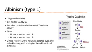 Albinism (type 1)
• Congenital disorder
• 1 in 20,000 worldwide
• Partial or complete elimination of Tyrosinase
activity
• Types
• Oculocutaneous type 1A
• Oculocutaneous type 1B
• Clinical features white hair, light-colored eyes, and
pale skin along with photophobia and functional
blindness
 