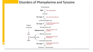 Disorders of Phenyalanine and Tyrosine
 