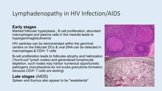 Lymphadenopathy in HIV Infection/AIDS
Early stages
Marked follicular hyperplasia , B cell proliferation, abundant
macrophages and plasma cells in the medulla leads to
hypergammaglobulinemia
HIV particles can be demonstrated within the germinal
centers on the follicular DCs & viral DNA can be detected in
macrophages & CD4+ T cells
B-cell proliferation leads to follicules atrophy and halinization
("burnt-out" lymph nodes) and generalized lymphocyte
depletion, such nodes may harbor numerous opportunistic
pathogens (mycobacteria do not evoke granuloma formation,
because CD4+ T cells are lacking)
Late stages (AIDS)
Spleen and thymus also appear to be "wastelands"
 