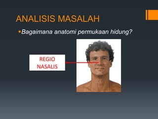 ANALISIS MASALAH
Bagaimana anatomi permukaan hidung?



      REGIO
     NASALIS
 