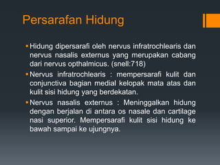 Persarafan Hidung

 Hidung dipersarafi oleh nervus infratrochlearis dan
  nervus nasalis externus yang merupakan cabang
  dari nervus opthalmicus. (snell:718)
 Nervus infratrochlearis : mempersarafi kulit dan
  conjunctiva bagian medial kelopak mata atas dan
  kulit sisi hidung yang berdekatan.
 Nervus nasalis externus : Meninggalkan hidung
  dengan berjalan di antara os nasale dan cartilage
  nasi superior. Mempersarafi kulit sisi hidung ke
  bawah sampai ke ujungnya.
 