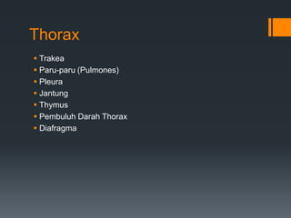 Thorax
 Trakea
 Paru-paru (Pulmones)
 Pleura
 Jantung
 Thymus
 Pembuluh Darah Thorax
 Diafragma
 