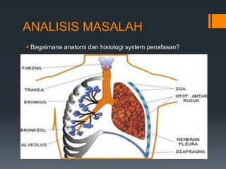 ANALISIS MASALAH
 Bagaimana anatomi dan histologi system penafasan?
 