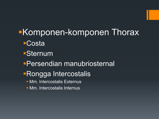 Komponen-komponen Thorax
Costa
Sternum
Persendian manubriosternal
Rongga Intercostalis
  Mm. Intercostalis Externus
  Mm. Intercostalis Internus
 