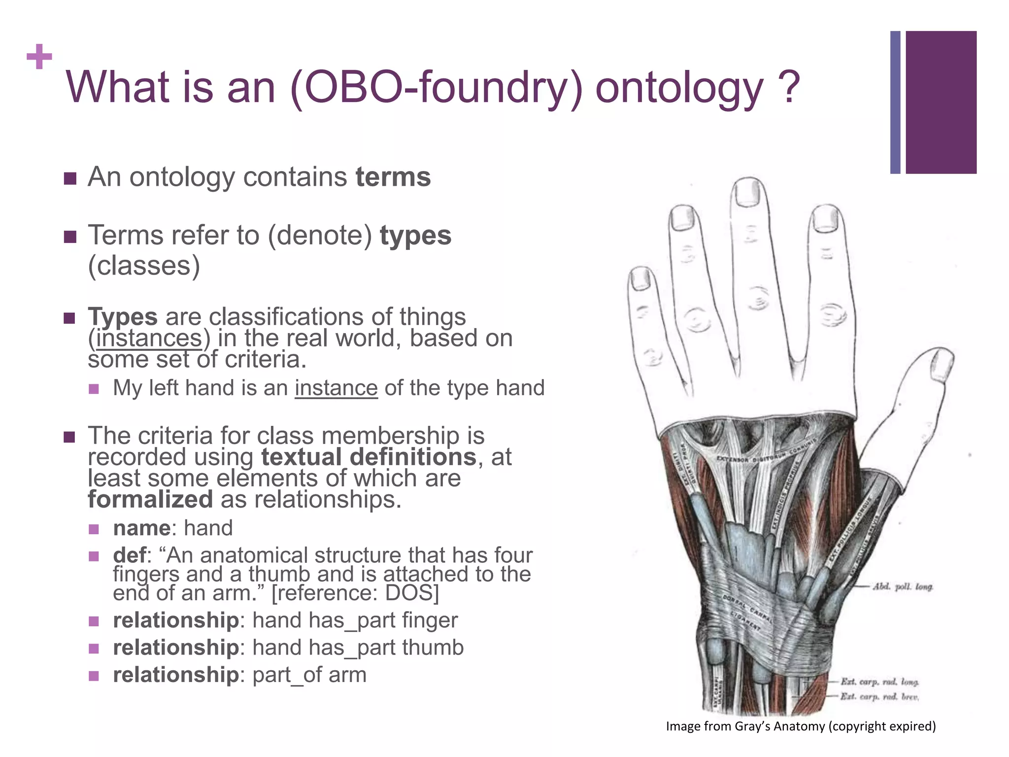+
    What is an (OBO-foundry) ontology ?
       An ontology contains terms

       Terms refer to (denote) types
        (classes)
       Types are classifications of things
        (instances) in the real world, based on
        some set of criteria.
           My left hand is an instance of the type hand

       The criteria for class membership is
        recorded using textual definitions, at
        least some elements of which are
        formalized as relationships.
           name: hand
           def: “An anatomical structure that has four
            fingers and a thumb and is attached to the
            end of an arm.” [reference: DOS]
           relationship: hand has_part finger
           relationship: hand has_part thumb
           relationship: part_of arm

                                                           Image from Gray’s Anatomy (copyright expired)
 