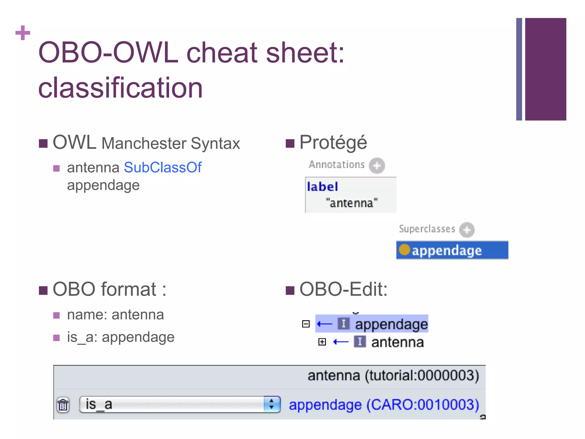 +
    OBO-OWL cheat sheet:
    classification
     OWL Manchester Syntax    Protégé
        antenna SubClassOf
         appendage




     OBO    format :          OBO-Edit:
        name: antenna
        is_a: appendage
 