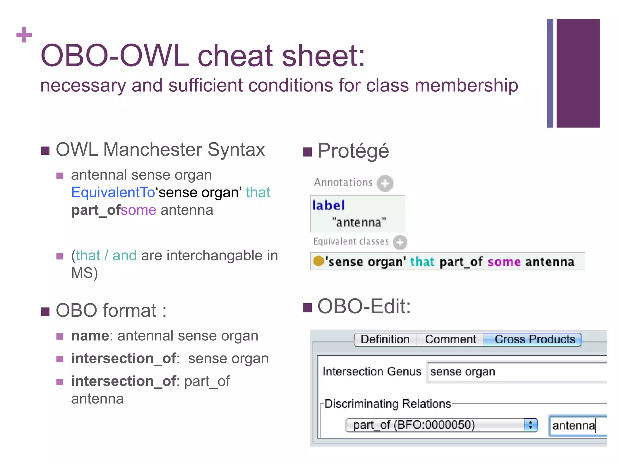 +
    OBO-OWL cheat sheet:
    necessary and sufficient conditions for class membership


       OWL Manchester Syntax                    Protégé
           antennal sense organ
            EquivalentTo„sense organ‟ that
            part_ofsome antenna


           (that / and are interchangable in
            MS)

       OBO format :                             OBO-Edit:
           name: antennal sense organ
           intersection_of: sense organ
           intersection_of: part_of
            antenna
 