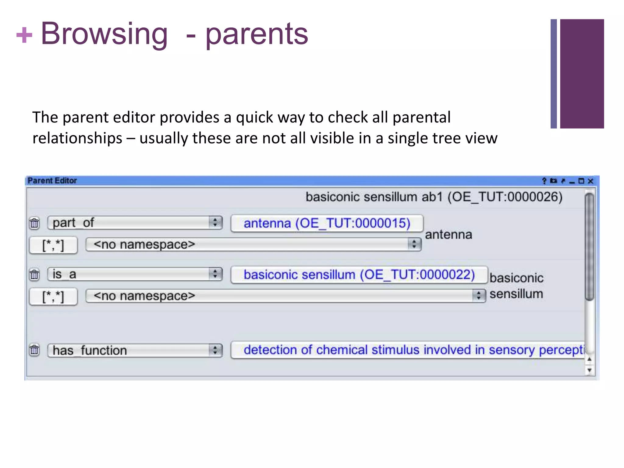 + Browsing - parents

 The parent editor provides a quick way to check all parental
 relationships – usually these are not all visible in a single tree view
 