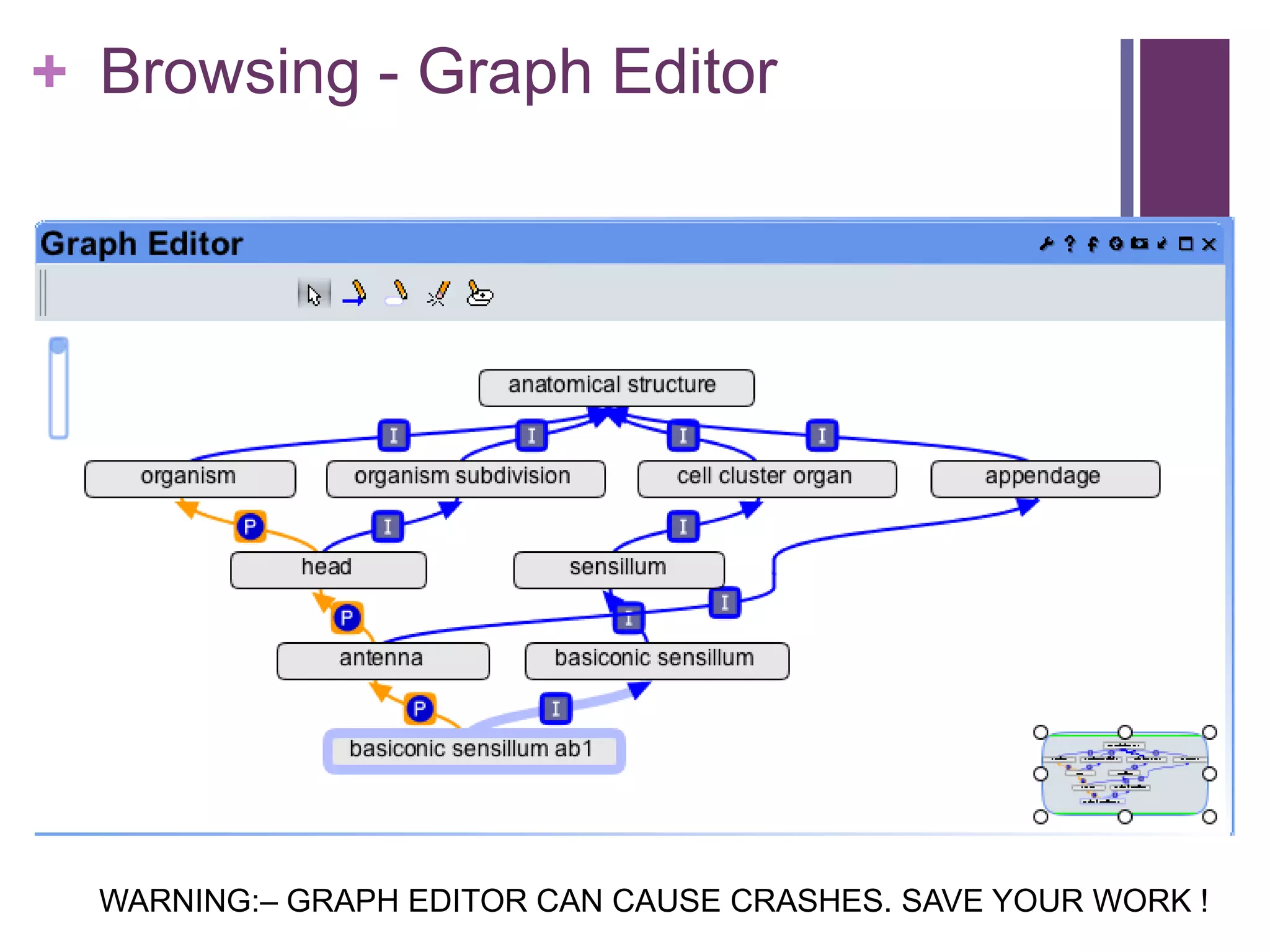 + Browsing - Graph Editor




  WARNING:– GRAPH EDITOR CAN CAUSE CRASHES. SAVE YOUR WORK !
 
