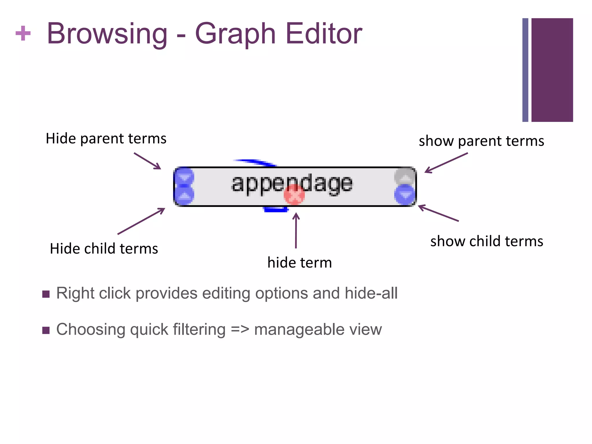 + Browsing - Graph Editor


  Hide parent terms                                      show parent terms




  Hide child terms                                        show child terms
                                   hide term
    Right click provides editing options and hide-all

    Choosing quick filtering => manageable view
 