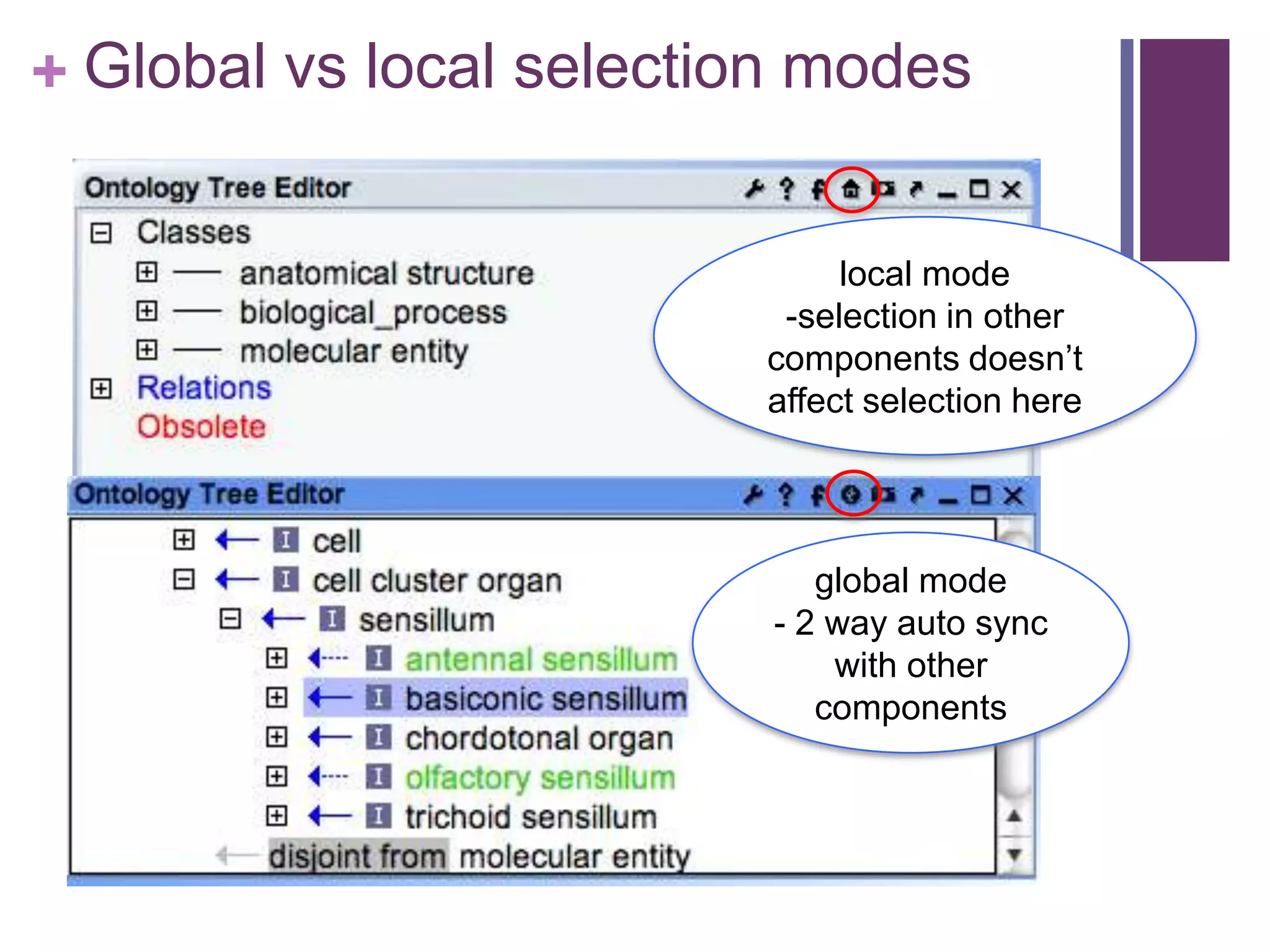 + Global vs local selection modes


                              local mode
                          -selection in other
                         components doesn‟t
                         affect selection here




                             global mode
                          - 2 way auto sync
                              with other
                             components
 
