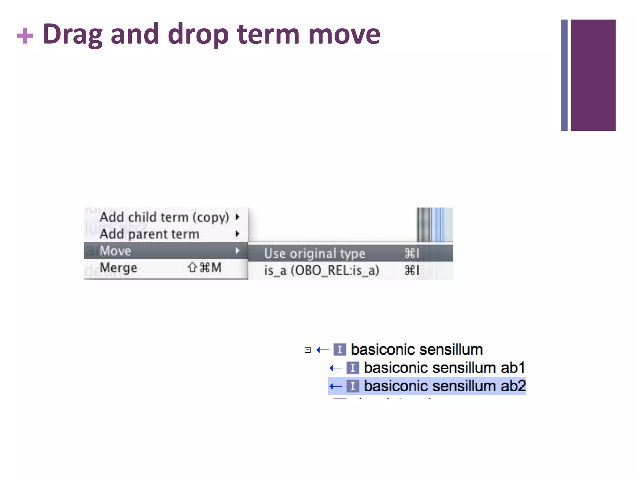 + Drag and drop term move
 