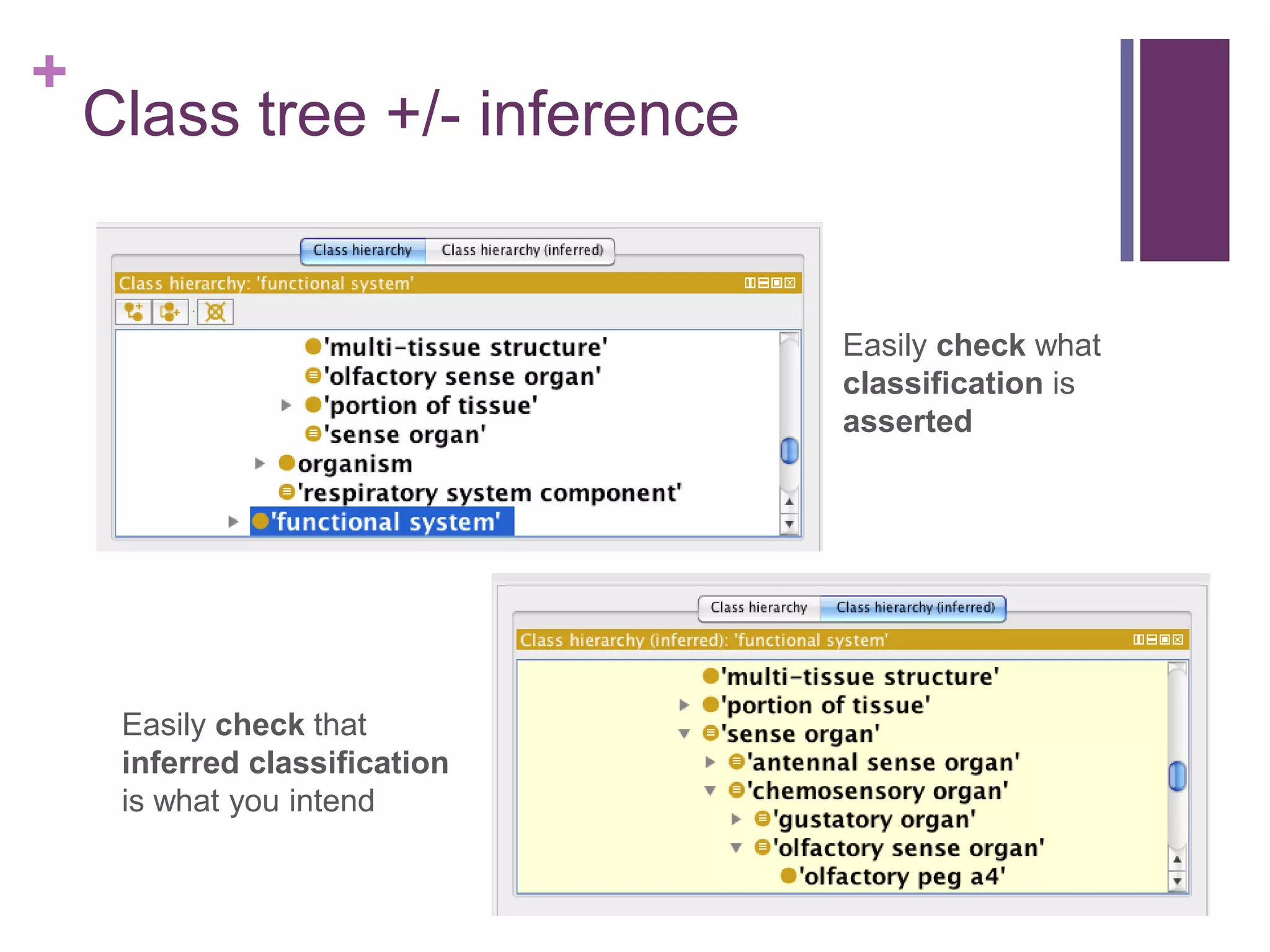 +
    Class tree +/- inference


                               Easily check what
                               classification is
                               asserted




     Easily check that
     inferred classification
     is what you intend
 