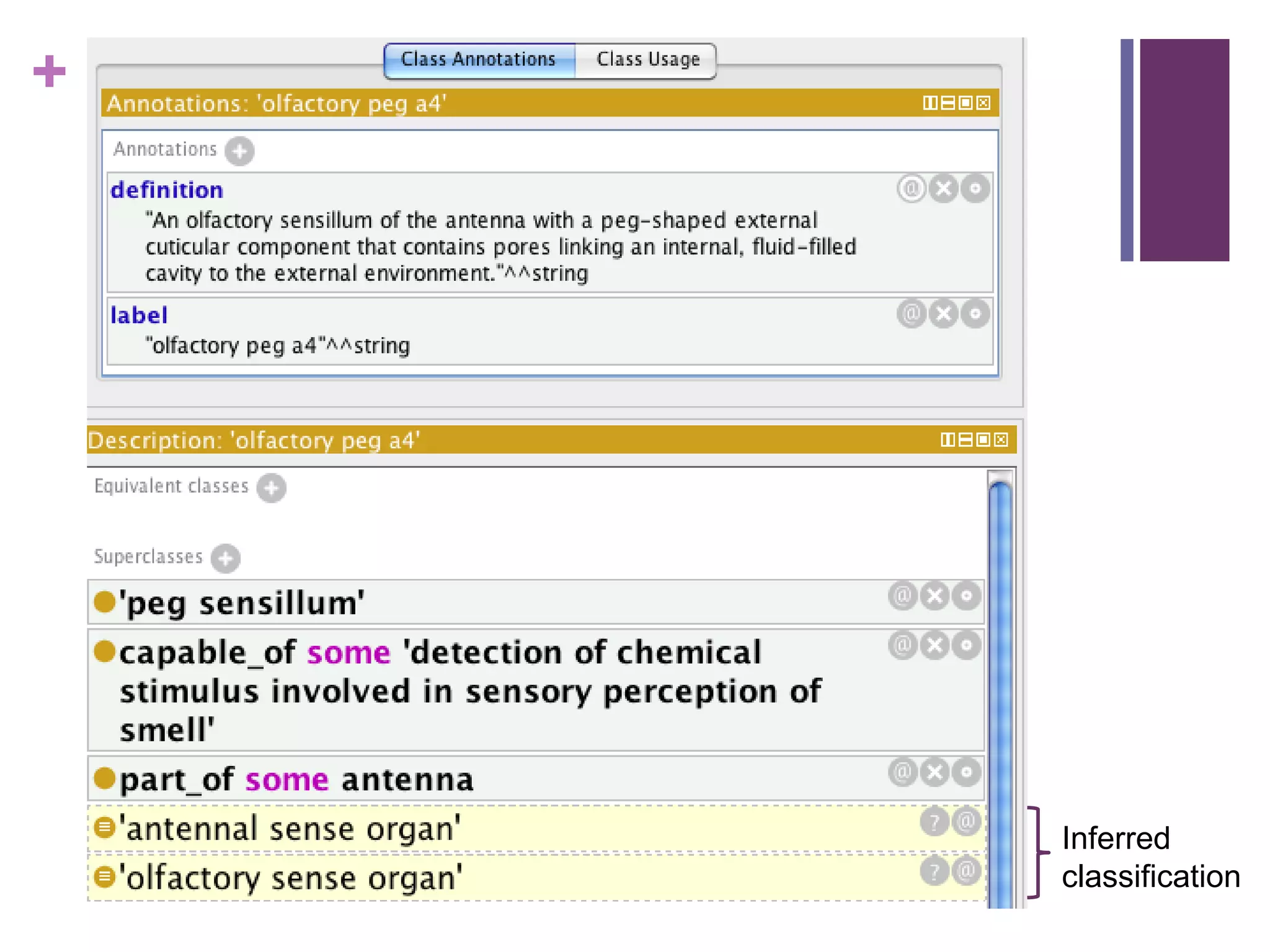 +




    Inferred
    classification
 