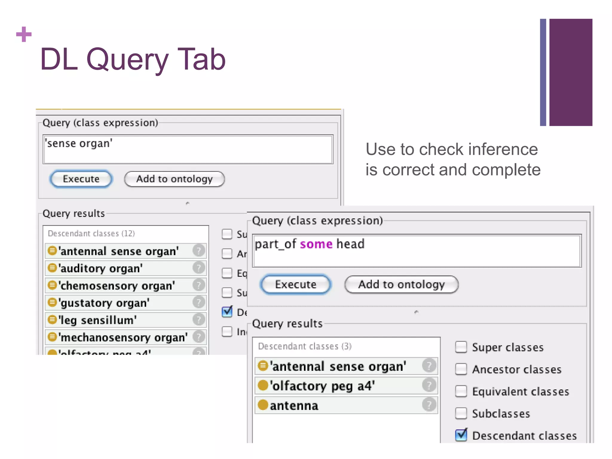 +
    DL Query Tab

                   Use to check inference
                   is correct and complete
 