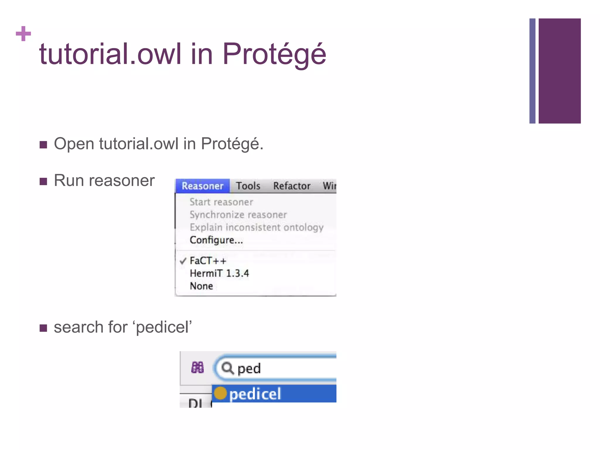 +
    tutorial.owl in Protégé

       Open tutorial.owl in Protégé.

       Run reasoner




       search for „pedicel‟
 