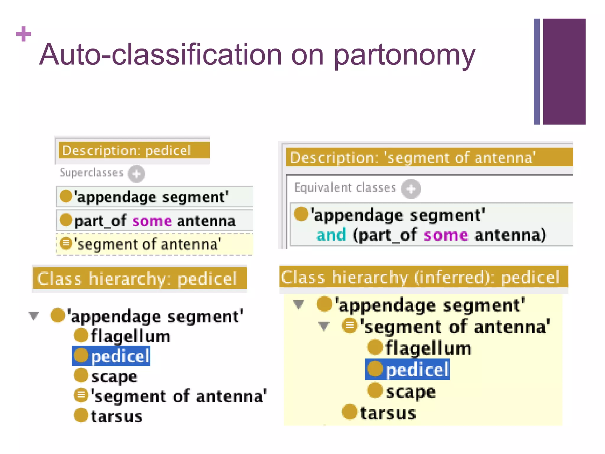 +
    Auto-classification on partonomy
 